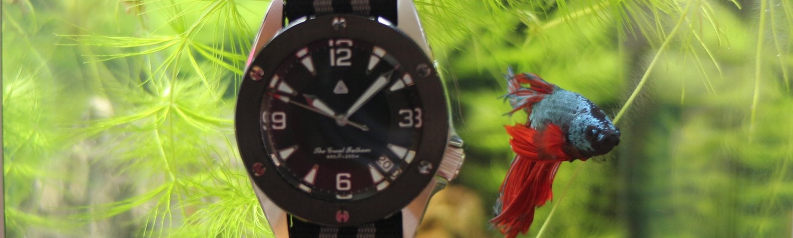 Introducing The Great Fathom Dial, sandwiching two dials.