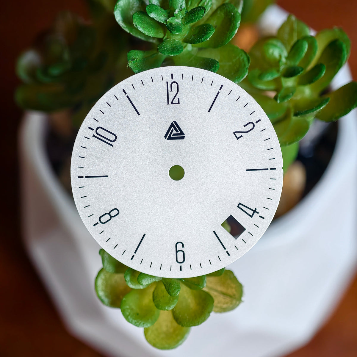 Bauhaus date dial lifestyle shot with succulent plant, showing date window at 4H — Lucius Atelier