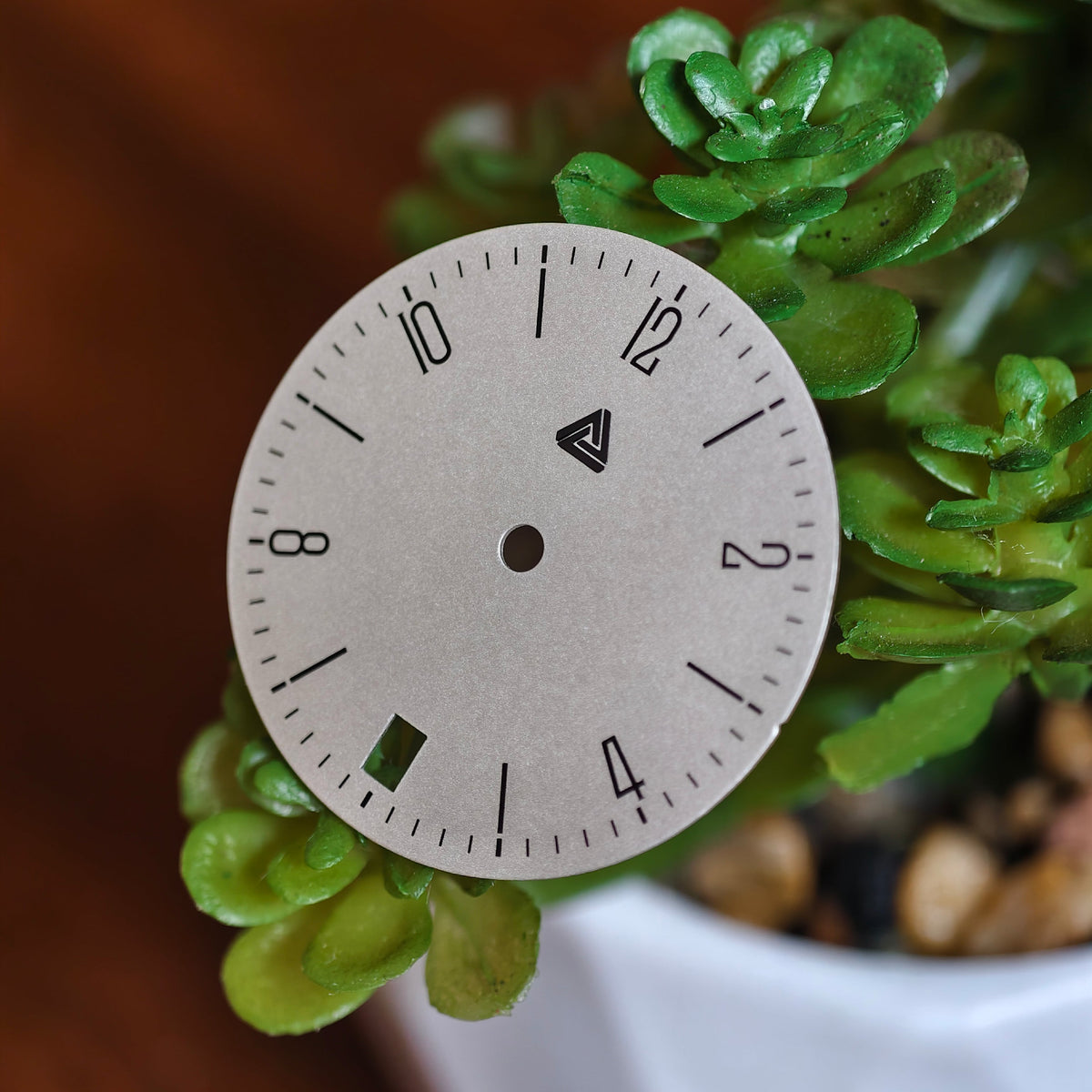 Bauhaus date dial at 6H angled view with succulent backdrop, showing date window and Lucius Atelier logo — Lucius Atelier