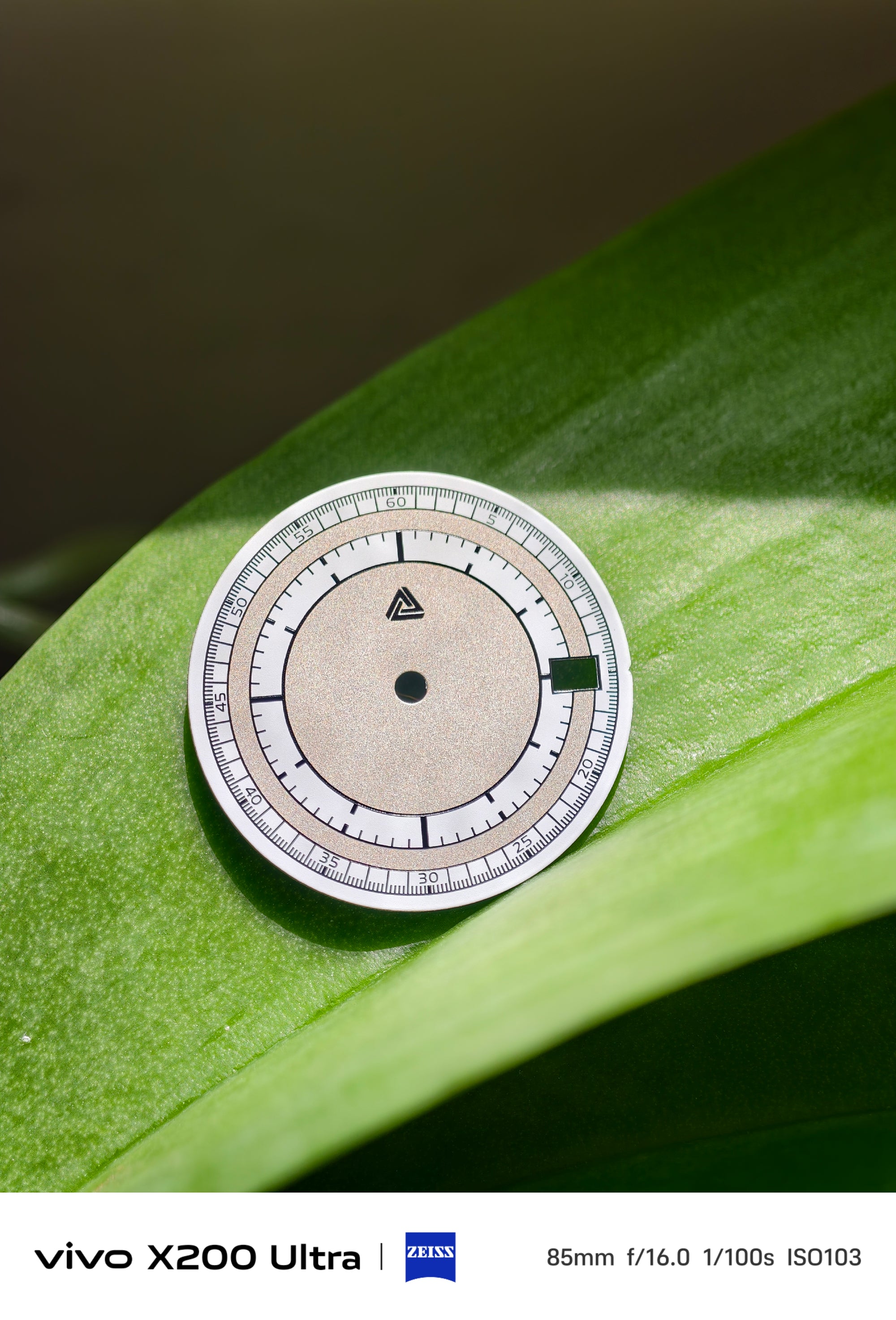 Sector Dial PP5296 Date NH35 | Lucius Atelier